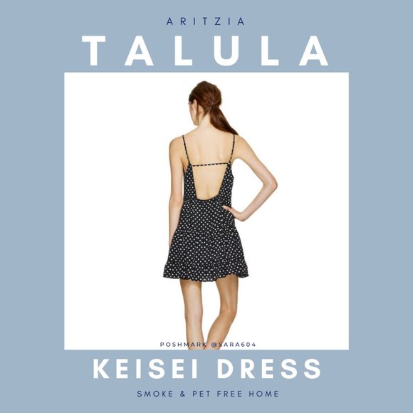 Aritzia Talula Keisei Dress - Picture 1 of 6